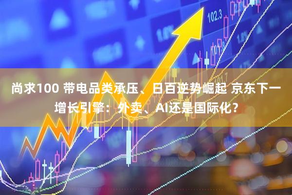 尚求100 带电品类承压、日百逆势崛起 京东下一增长引擎：外卖、AI还是国际化？